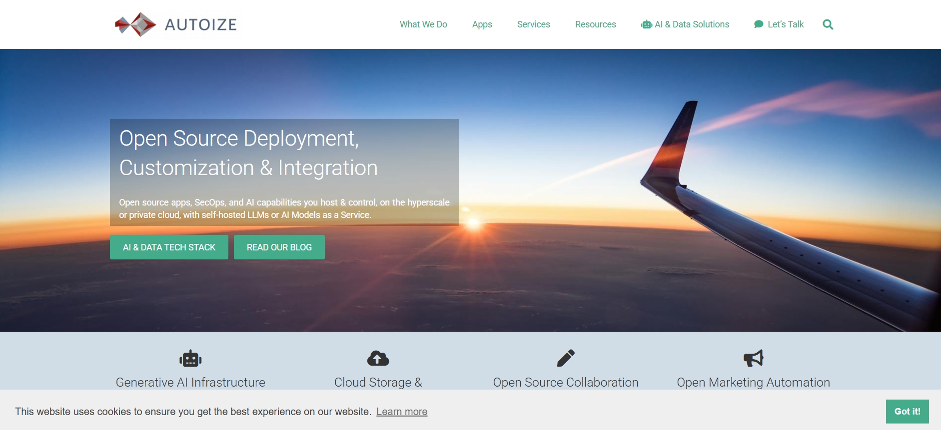 screenshot of Autoize